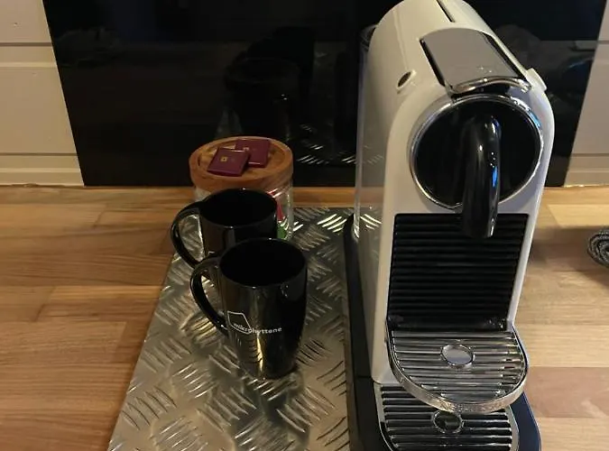 Mikrohyttene Moen Ranch Lodge *